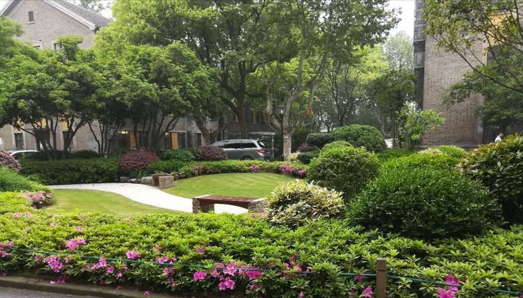 image003.jpg image003.jpg